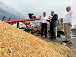 Başkan Şahin’den yağmurda zarar gören buğdaycılara ziyaret