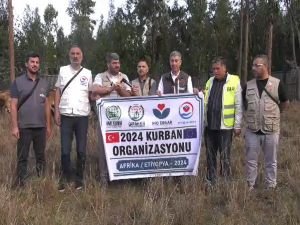 Etiyopya'da yardım çalışması yürüten dört yardım kuruluşu yüzlerce aileye kırmızı et ulaştırdı