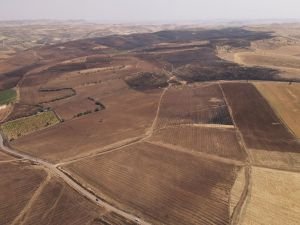 Diyarbakır ve Mardin'deki anız ve örtü yangının boyutu drone ile görüntülendi