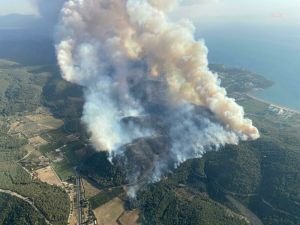 İzmir'in 5 ilçesinde orman yangını devam ediyor