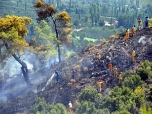 Balıkesir'de orman yangını