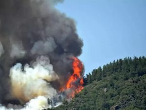 Hatay'da orman yangını