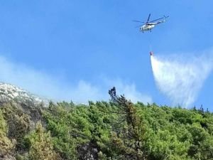 Antalya'da ormanlık alanda yangın