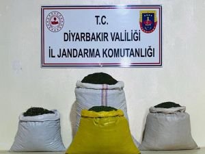 Diyarbakır'da 170 bin kök keneviri 52 kilogram esrar ele geçirildi