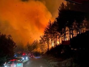 Çanakkale'de orman yangını