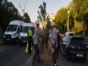 İstasyon Caddesinde kalıcı peyzaj düzenlemesi