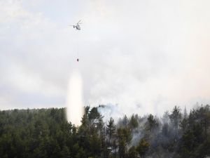 Aydın'da ormanlık alanda yangın