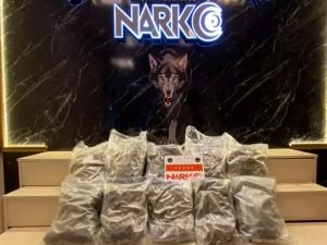 Edirne'de 10 kilo 400 gram skunk ele geçirildi