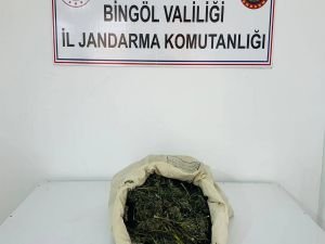 Bingöl’de uyuşturucu operasyonu