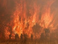 Yunanistan'da orman yangını nedeniyle yerleşim yerleri tahliye edildi
