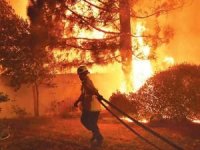 Yunanistan'da orman yangını: 13 gözaltı
