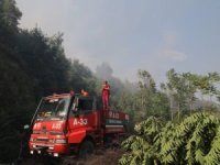 Samsun'da ormanlık alanda yangın