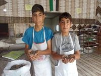 Şanlıurfalı fırıncı çocuklardan Gazze duyarlılığı