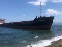 Panama bandıralı kargo gemisi karaya oturdu