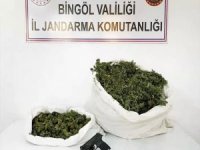 Bingöl'de 12 kilogram esrar ele geçirildi