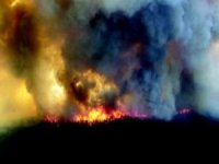 Almanya’daki Harz Dağları’nın en yüksek rakımında orman yangını