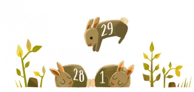 29-subat-gunu-google-oldu-doodle.jpg