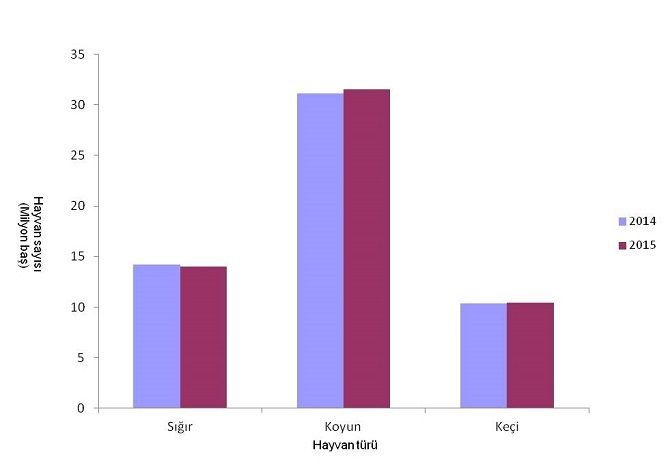 hayvansal-uretim-istatistikleri-aciklandi.jpg